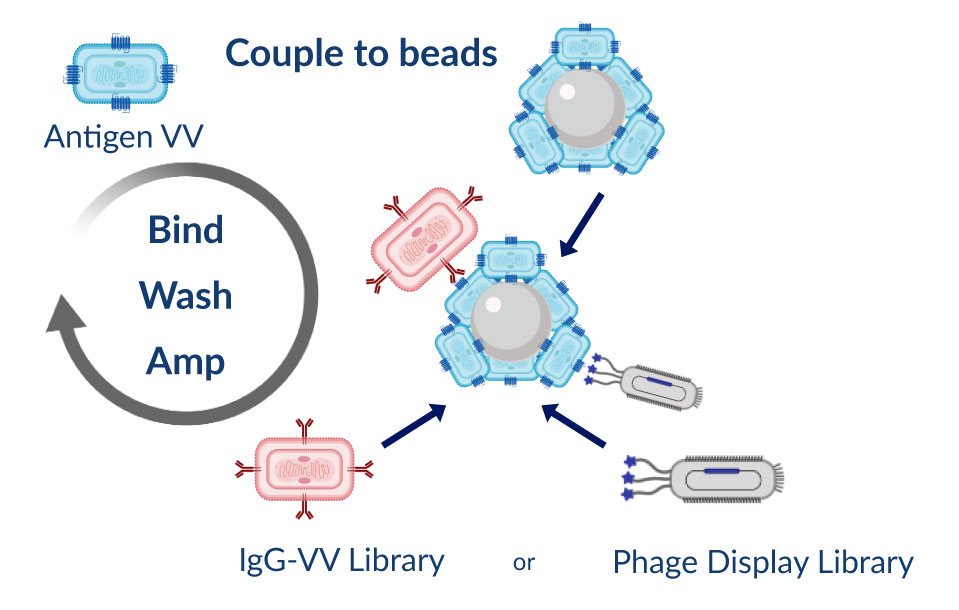 Antigen-Virus-3-mobile