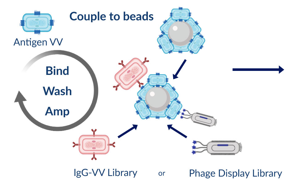 Antigen-Virus-3